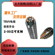 ���������������| TRVV-�����| ��������ĥ �͏���500�f��