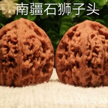 Прививка больших пятизубчатых саженцев грецкого ореха Вэнь играть очень большие трехзубчатые саженцы грецкого ореха конопли двор горшок посадка саженцев текущего года