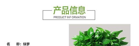 详情图