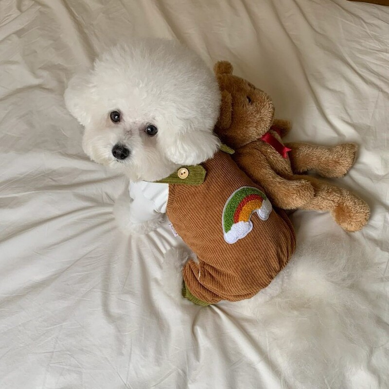 日韩ins风秋冬季狗狗衣服遇见彩虹灯芯绒背带裤中小型犬宠物衣服|undefined