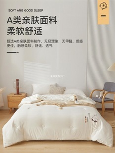 Student Air Conditioning Quilt Spring and Autumn Quilt Core Summer Cool Quilt Thin Quilt Dormitory Winter Quilt Summer Quilt Xinjiang Cotton Single