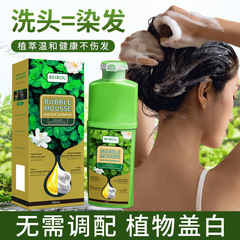BUBBLE 外国貿易人気商品 500ML 北柔植物染毛剤 グリーン素材 ヘッドスキン染毛剤クリーム