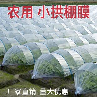J8 Vegetable Field Two-Film Winter Insulation Arch Shed Plastic Cloth Thickeneded Small White Transparent Film Anti-Freeze Agricultural G3