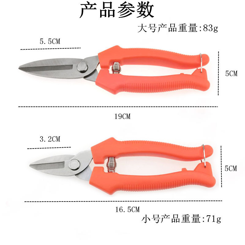 QQͼƬ20200818151615_����1_����_����_��