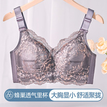 @С黨ٽzp͸{̓¾۔nո