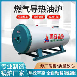 500万大卡燃气导热油炉有机热载体炉燃油气导热油锅炉采暖炉