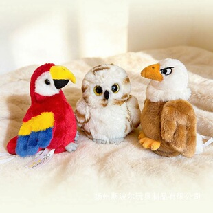 �羳������؈�^��ë�qվ�繫�п����W�^������ż���ܴ���