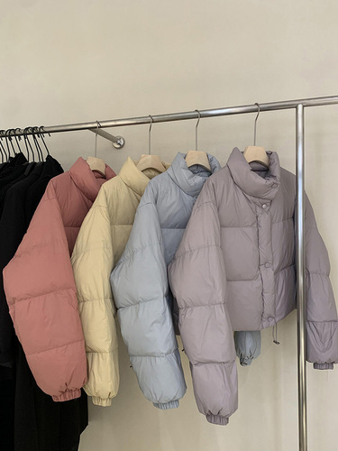 Off-season Korean-style down jacket with cotton padding, women's short down cotton-padded coat for petite figures, new winter cotton-padded coat and outerwear.