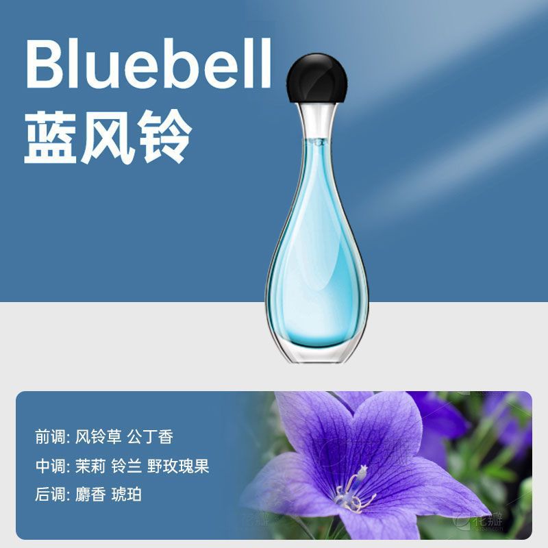 【블루 윈드 차임】에센셜 오일 한 병