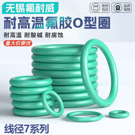 氟胶O型圈线径7*内径60-487/60/112/150/180/206/370/430/487