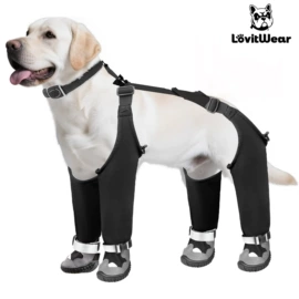 宠物鞋靴;狗狗服装;猫猫窝/笼/垫