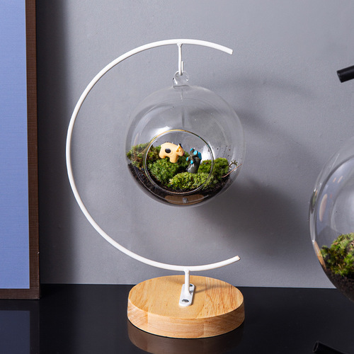 Creative home decoration crafts G-shaped iron bracket micro landscape hanging glass bottle hanging bottle iron frame decoration