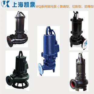 �Ϻ��PȪԭ�SWQ��ˮ���۱�65WQ/E40-30-5.5����b�� ܛ�� Ӳ��