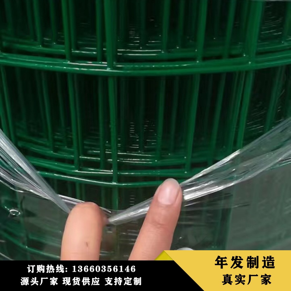 绿色果园养鸡防护PVC荷兰网工程粗丝热镀锌荷兰网道路护栏网