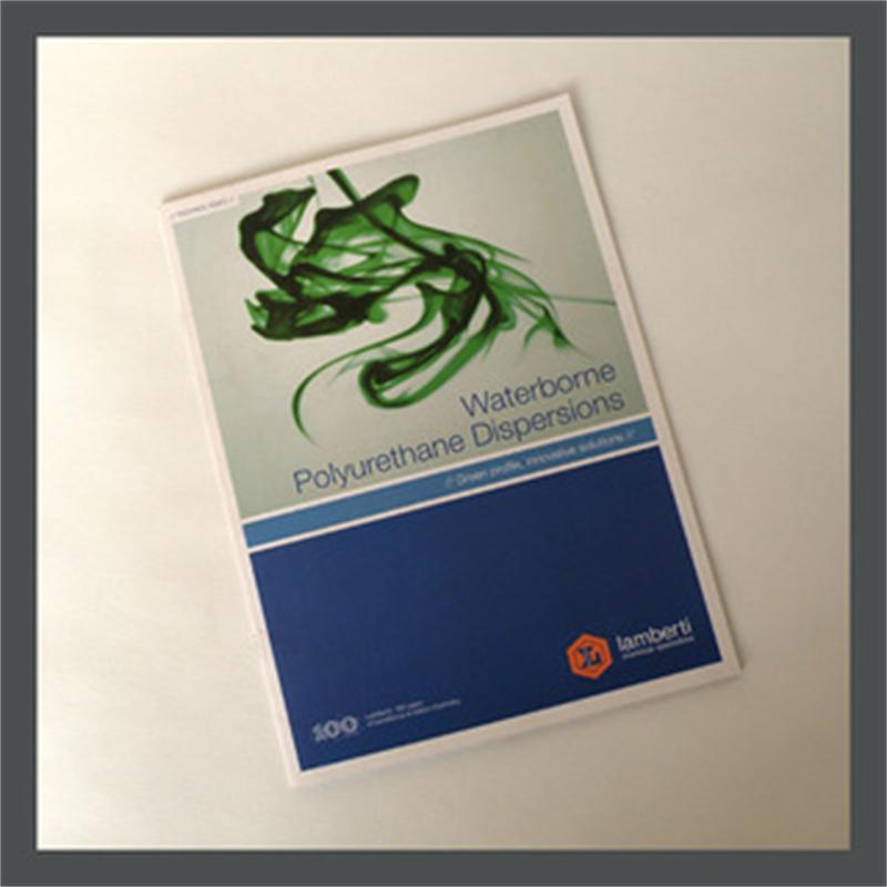 厂家上海企业产品宣传画册设计制作印刷精美宣传册烫金工艺