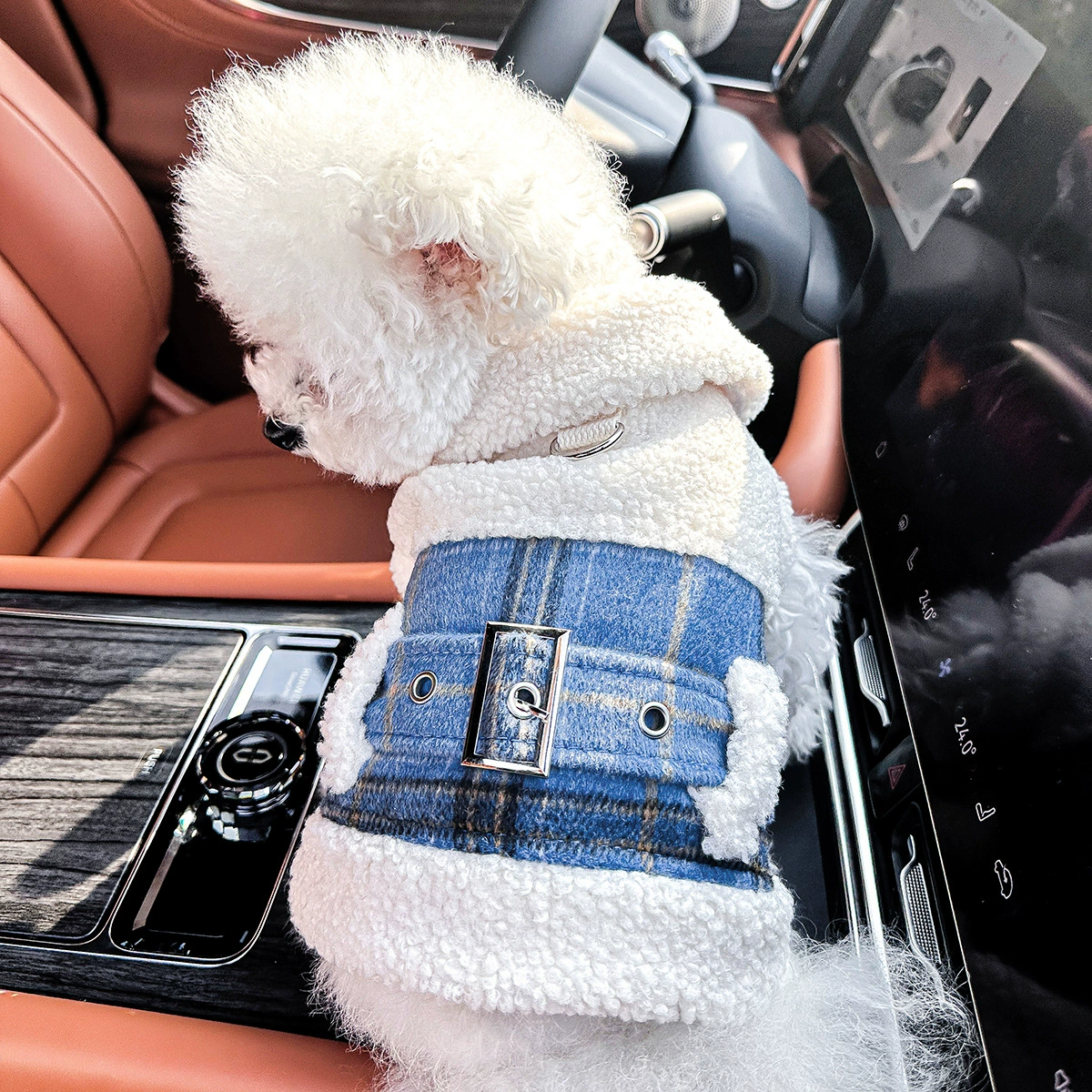 Пятно трансграничный взрыв домашних щенков кошачьей одежды источник фабрики