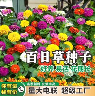 ���ղݻ��N�����ļ����N�_��ͥԺ�N�Ӹ�ɣ���f�۾ջ��N��Ұ���M��