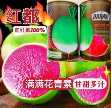 ϵst}NƤȿt|ζ֭ˬ_r＾_