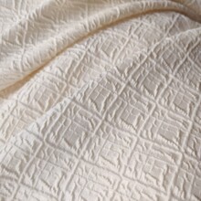 F؛ɫỨϰ͹wӸyɫɫbȹb