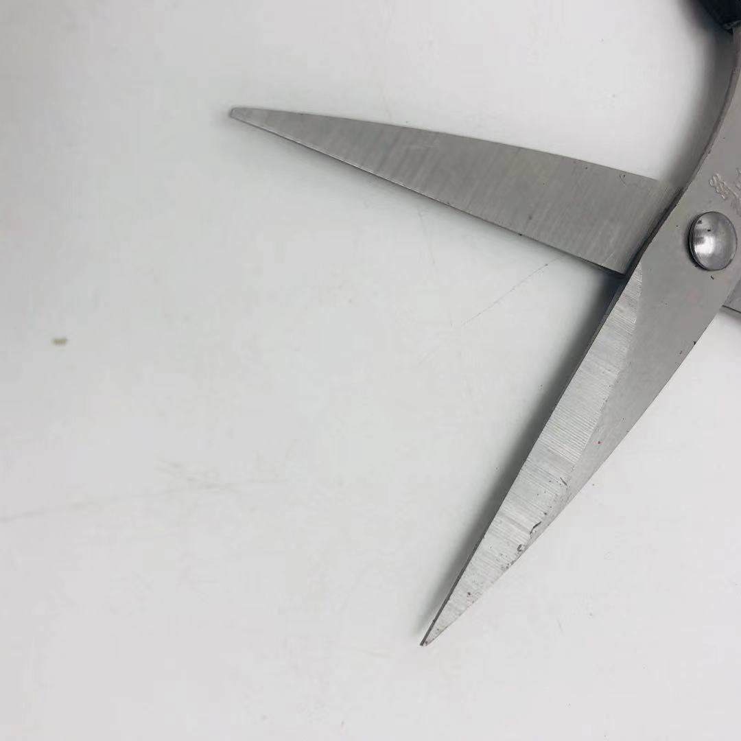 Table scissors, wholesale