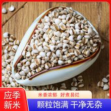 �F��С޲�� ޲����޲������������s�Z�ּZ��500g