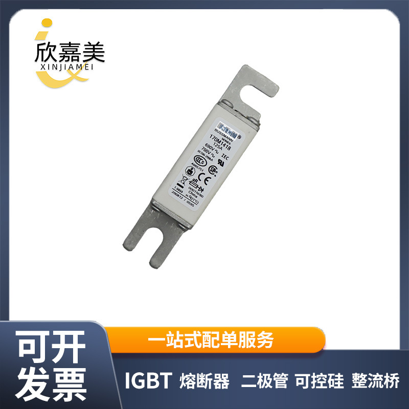 170M1418 170M1419 快速熔断器  全新原装 电子元器件量大价优