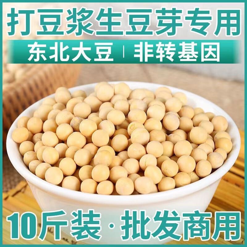 黒竜江省産大豆の発芽、東北産大豆、大豆のバルク発芽、大豆の発芽24時間発生|undefined