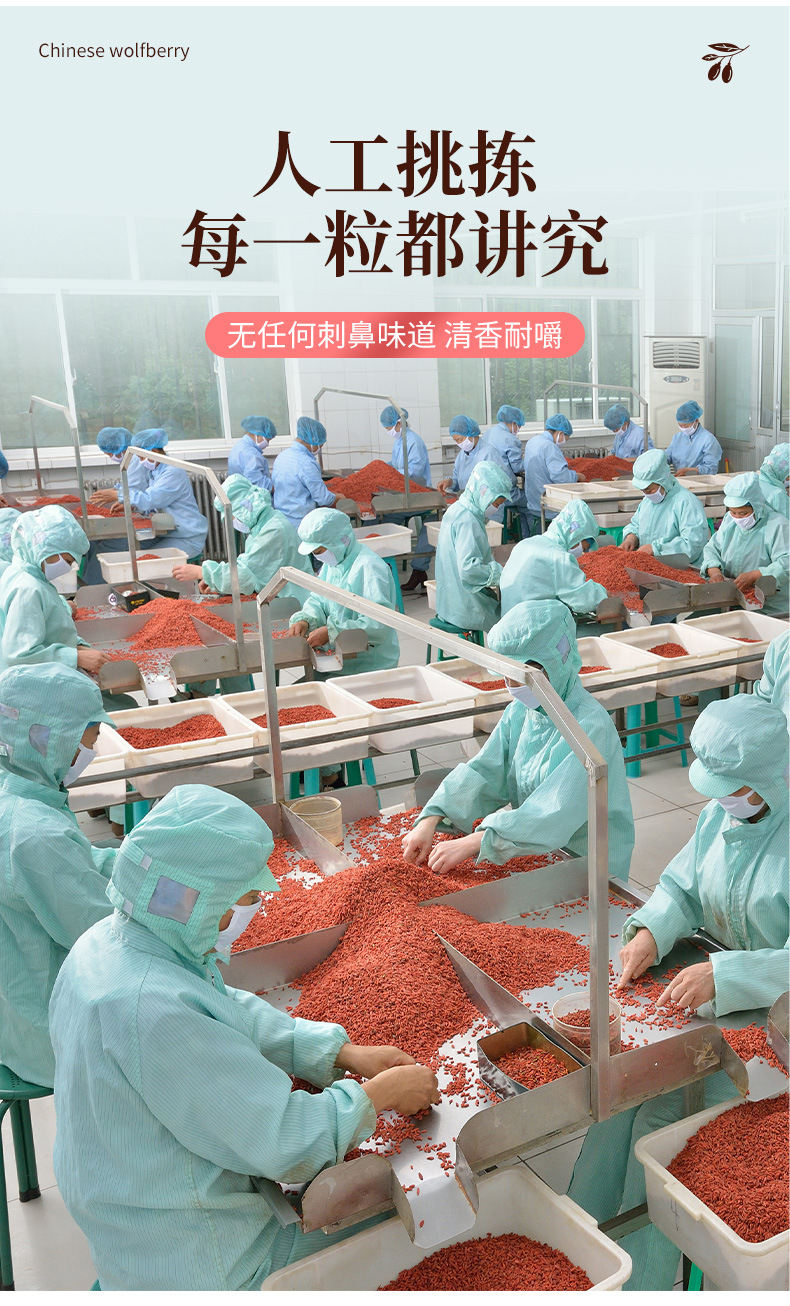 早安情枸杞详情页_04