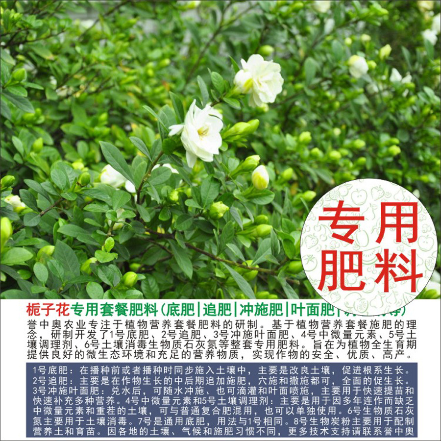 50�����а����ӻ�ר���л��ʸ��Ϸʵ׷�׷��Ҷ��ʳ�ʩ��ˮ�ܷ�