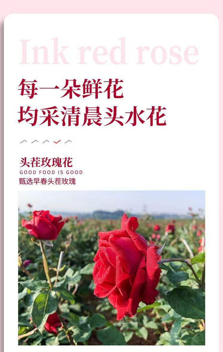Yunnan Mo Hong Rose Bud Tea Dried Red Rose Flowers for Cold Brew 35g Can quality and texture