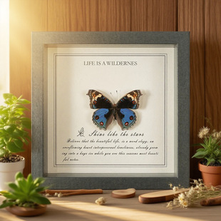 �G�����P���ֹ����������˱�����ղؼo�ˇƷ