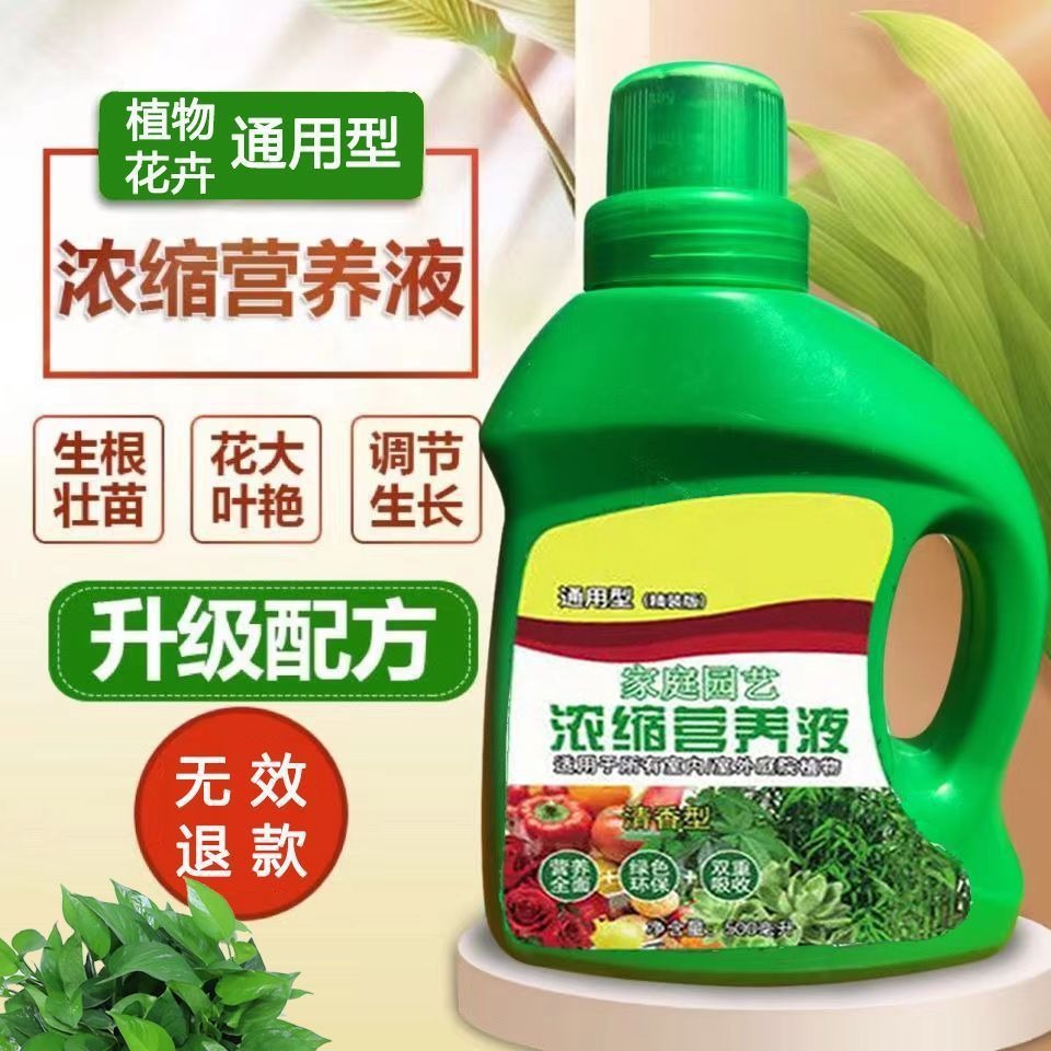 营养液植物通用型绿萝富贵竹发财树巴西木多肉水培养花卉绿植花肥