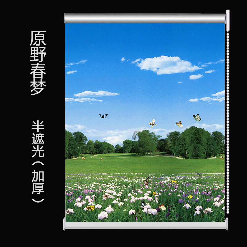 ローラーブラインドカーテンリフトタイプ寝室遮光ロールプルタイプパンチフリーリビングルーム風景画オフィスバスルーム防水|undefined