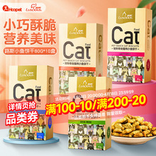 ·˹؈�10���b؈��ʳ؈����؈����С�~�ɻ�ë؈����ʳ������Ʒ