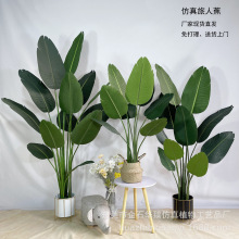 �S�Ҷ������˽����˽������B��������ֲ��Ҿ��҃ș�����ؔ[��