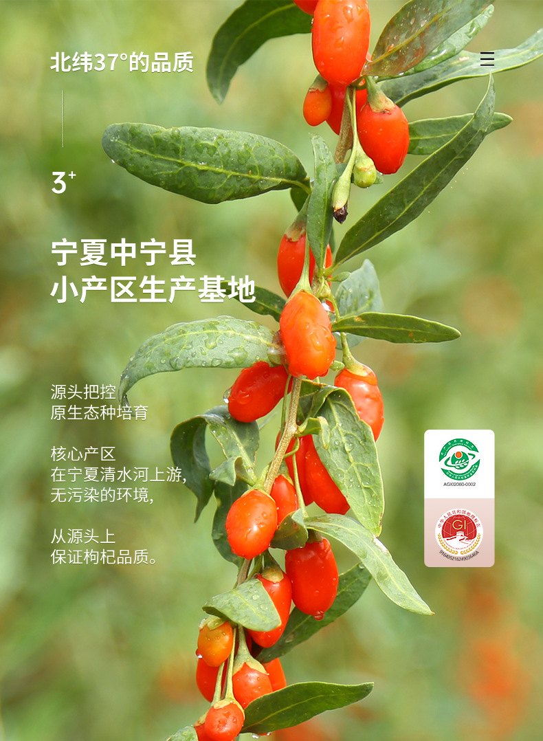 Ning'anbao Goji Berry Gift Box Ningxia Zhongning Gouqi Zi Premium Large Grade 450g key features
