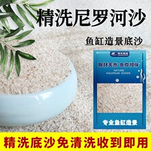 尼罗河沙化妆沙草缸南美缸鼠鱼底砂鱼缸造景底沙河沙黄色细沙水草