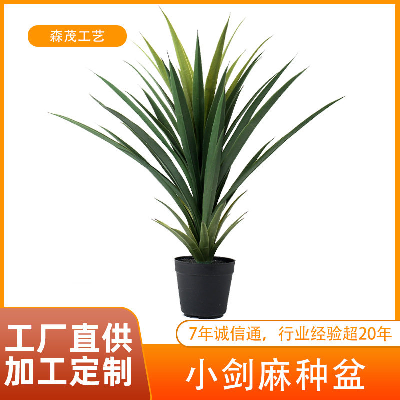 仿真植物剑兰盆栽盆景假树剑麻龙须草客厅办公室绿植园林装饰摆件