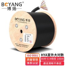 P󌦔|30Ԓ󌦔ͨžBY-Cat3-SW30X-100M