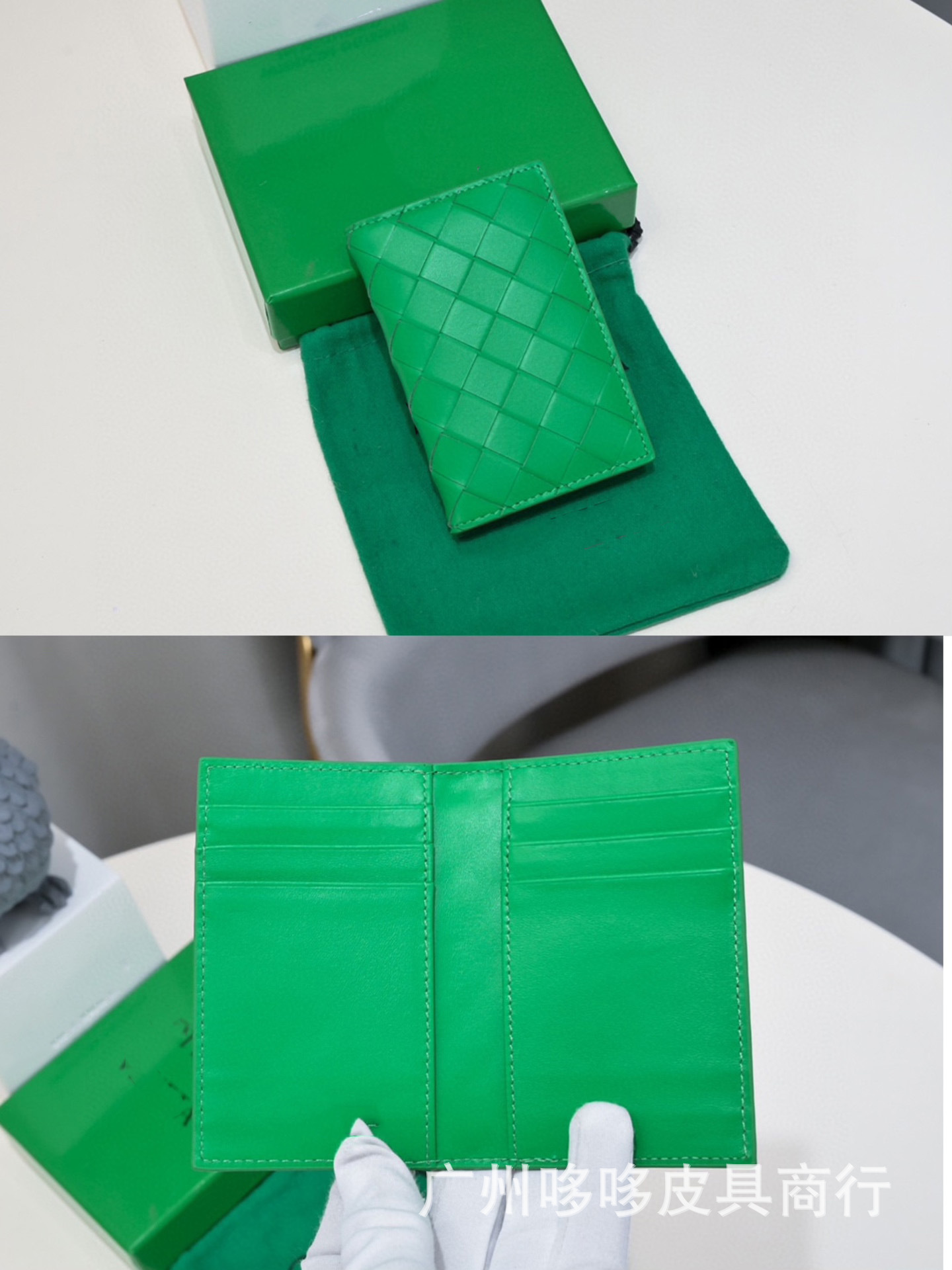 Parrot green