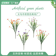 �羳����35cm5�����С�r����@�����Ĕz�����҃��b�Ұ�ջ���