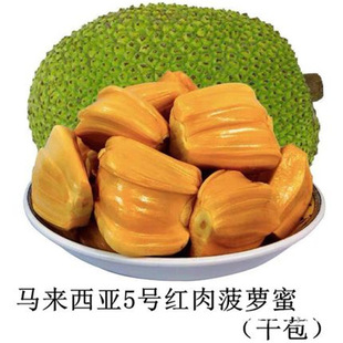 ���}�ۘ����޽�ľ���}��̩��12̖8̖�S�t���R������1̖�ļ��Y��