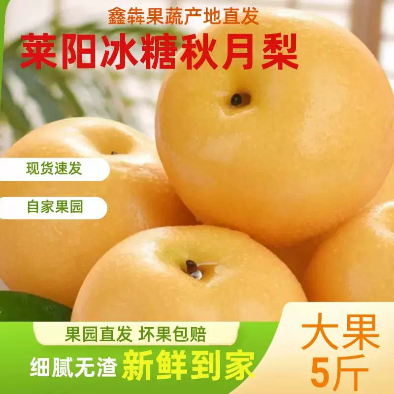 礼盒装正宗山东莱阳秋月梨新鲜香梨梨子当季冰糖雪梨水果款