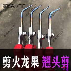 剪火龙果翘头剪弯头剪剪果摘果剪修花枝剪采摘剪刀修果剪果蔬剪刀