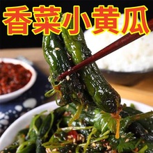 香菜小黄瓜咸菜下饭咸菜东北特色下饭菜开胃小菜