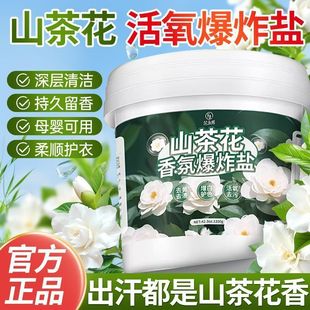 Camellia Explosive Salt Laundry Detergent for Stain Removal, Powerful for Mother and Baby White Clothes and Shoes, General Mold Stain Remover