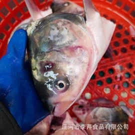 鱼类;虾类;贝类