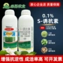 壮苗抗逆生长小麦调节剂