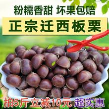迁西板栗生新鲜栗子河北板栗野生油栗子大粒板粟小毛栗子锥栗