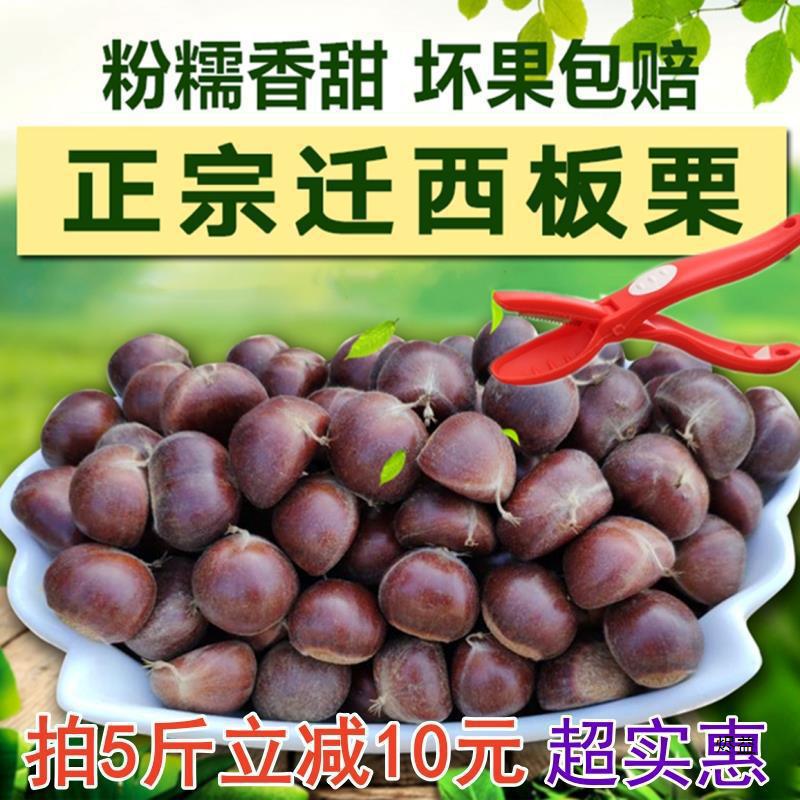 迁西板栗生新鲜栗子河北板栗野生油栗子大粒板粟小毛栗子锥栗